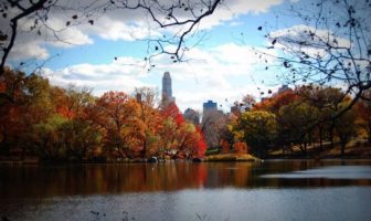 new york fall