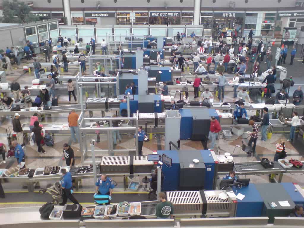 Image result for TSA lines