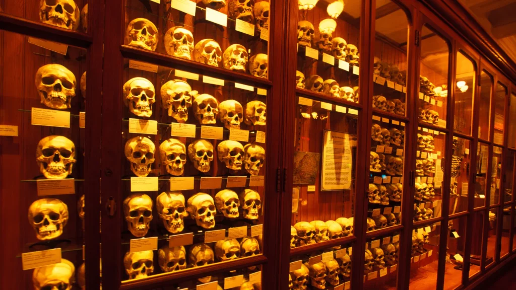 Skulls on display at Mutter Museum in Philadelphia is one of the creepiest places in USA