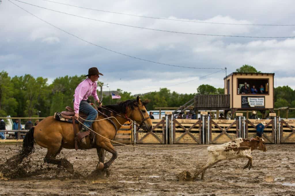 A cowboy ropes a calf at IGRA World Gay Rodeo Finals 