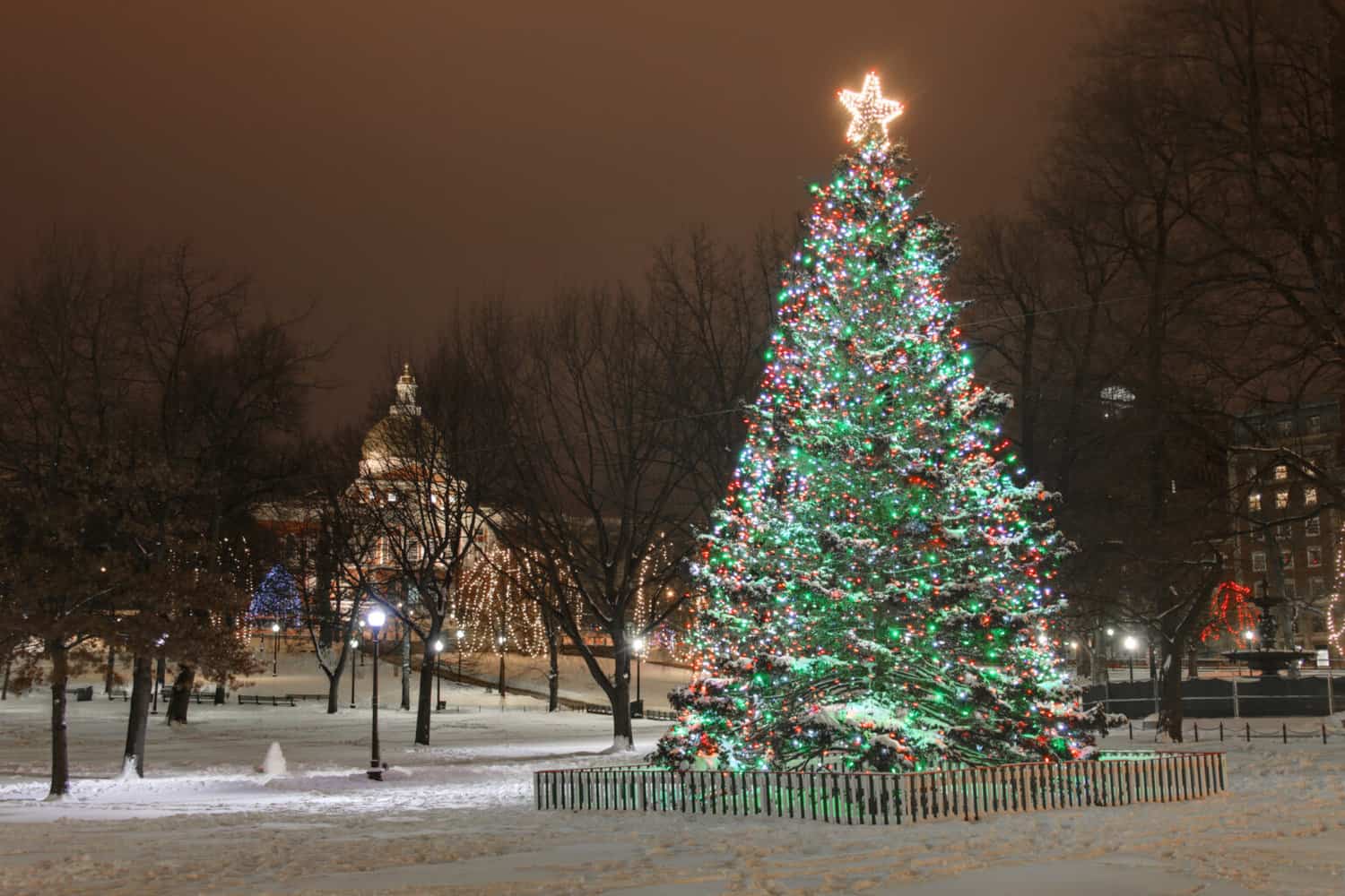 Seven Cities with BlingedOut Christmas Trees Fagabond