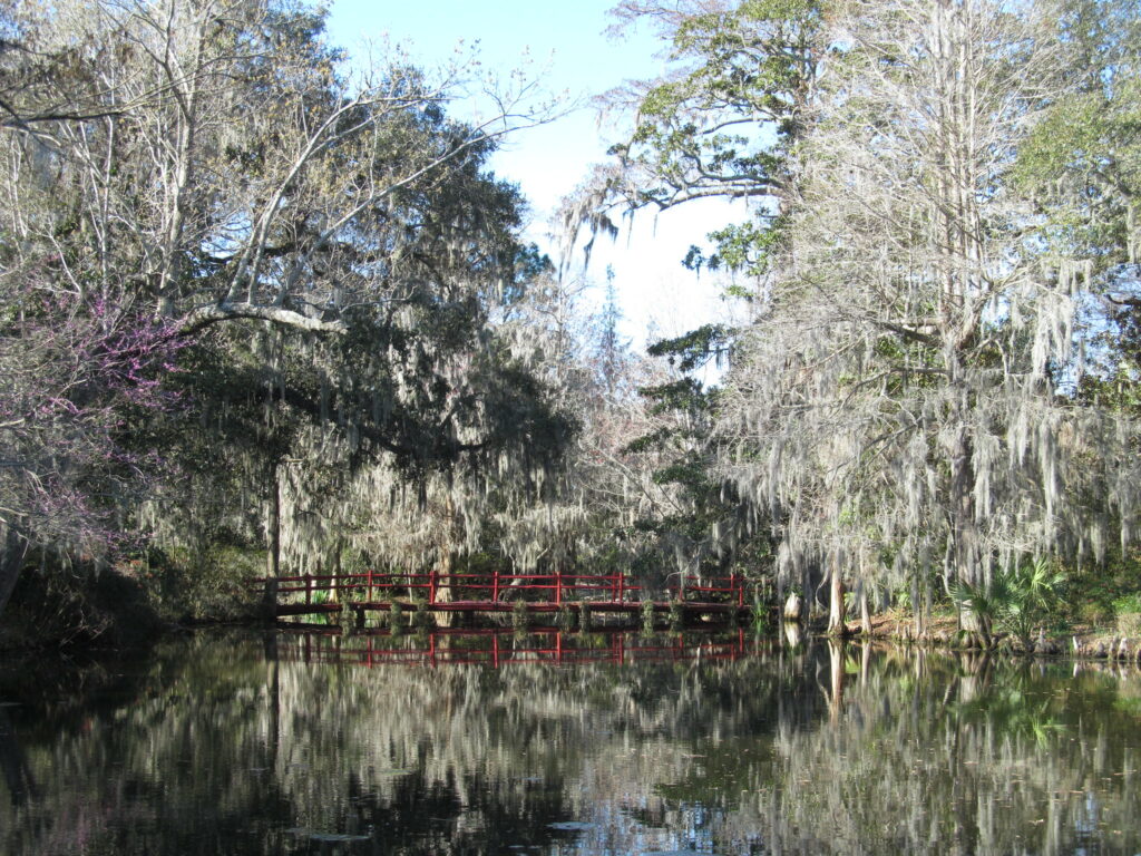Enjoy the beauty of cherry blossom trees in full bloom at Magnolia Plantation and Gardens. Delicate pink blossoms adorn the historic gardens, creating a serene springtime scene.