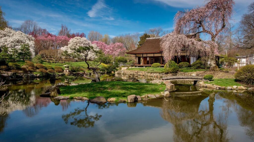 Experience the tranquility of Shofuso Japanese House and Garden nestled in Philly's Fairmount Park, surrounded by cherry blossoms in full bloom. Immerse yourself in the serene beauty of traditional Japanese architecture and meticulously landscaped gardens in the heart of Philadelphia.