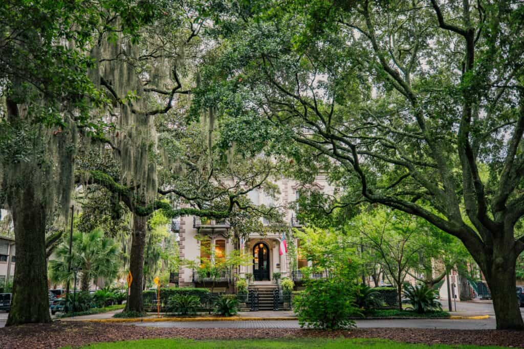 View of a historic building framed by large oak trees draped in Spanish moss in Savannah, GA – an off-the-beaten-path spring break destination often celebrated by the LGBTQ+ community for its charm, inclusivity, and vibrant culture.