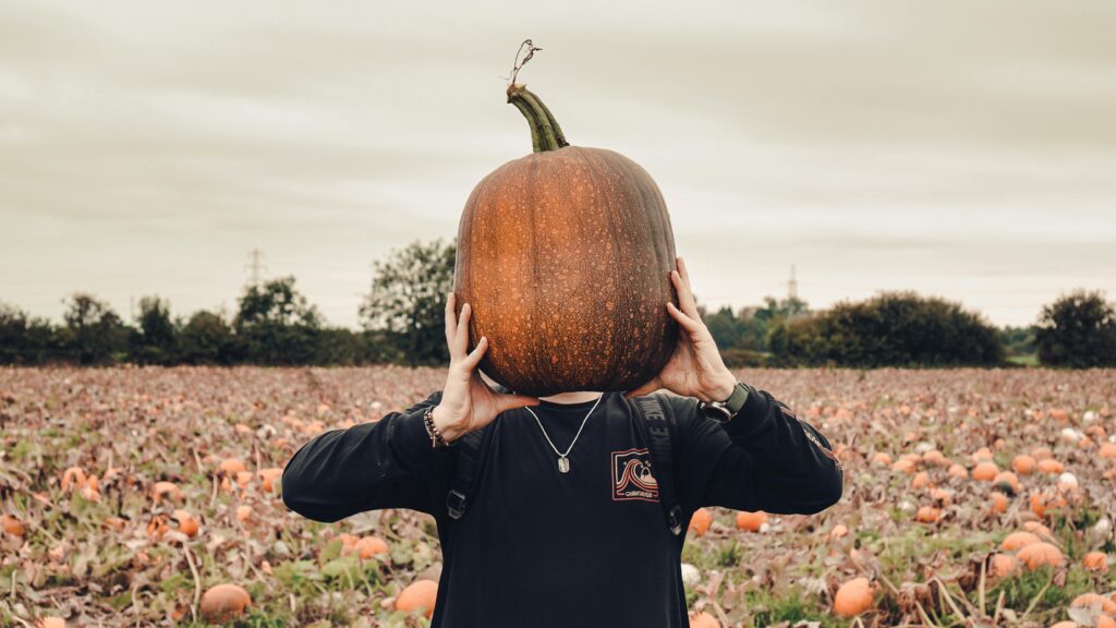 A person in a pumpkin field playfully holds a giant pumpkin over their head at one of the best pumpkin festivals USA visitors love.
