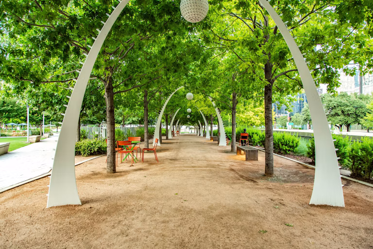 Tree-lined pedestrian walkway beneath white arches at Klyde Warren Park in downtown Dallas.
